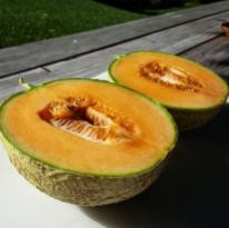 Kansas melon